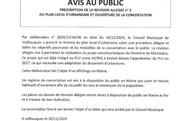 AVIS AU PUBLIC : REVISION ALLÉGÉE N°2 DU PLU